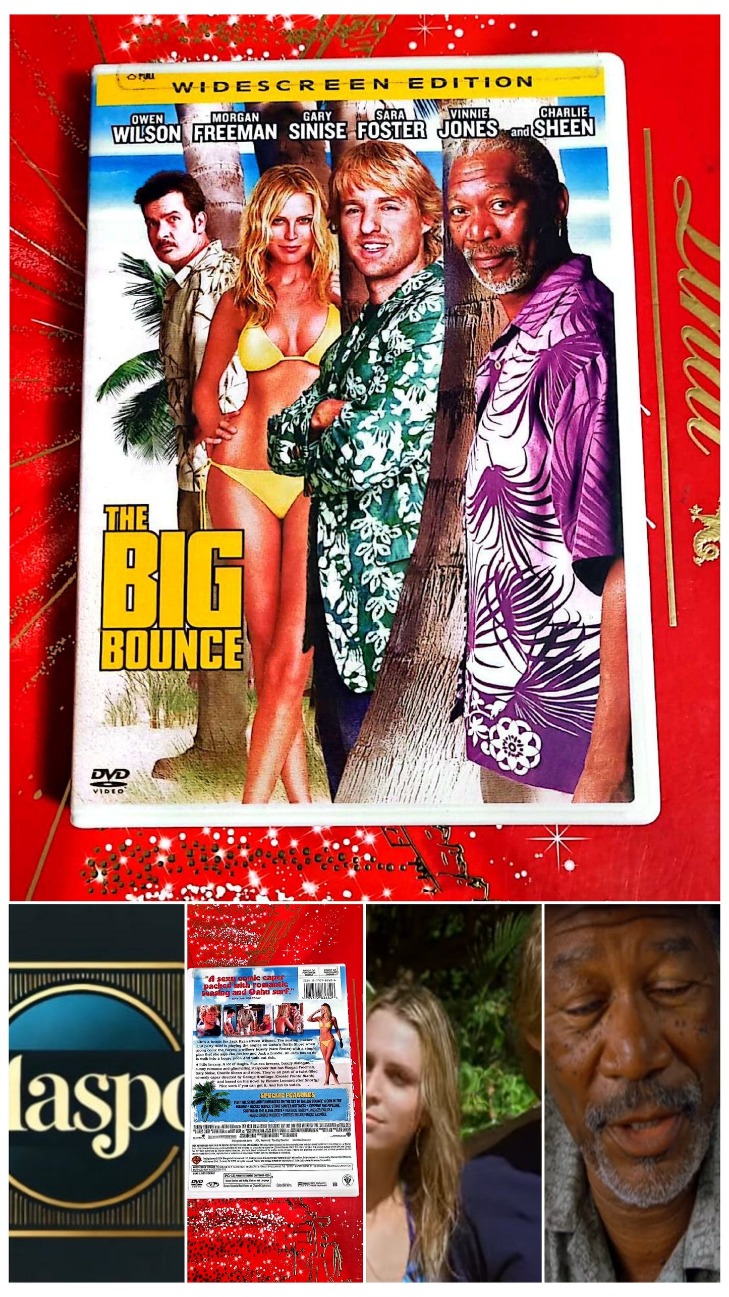 DVD : THe big bounce