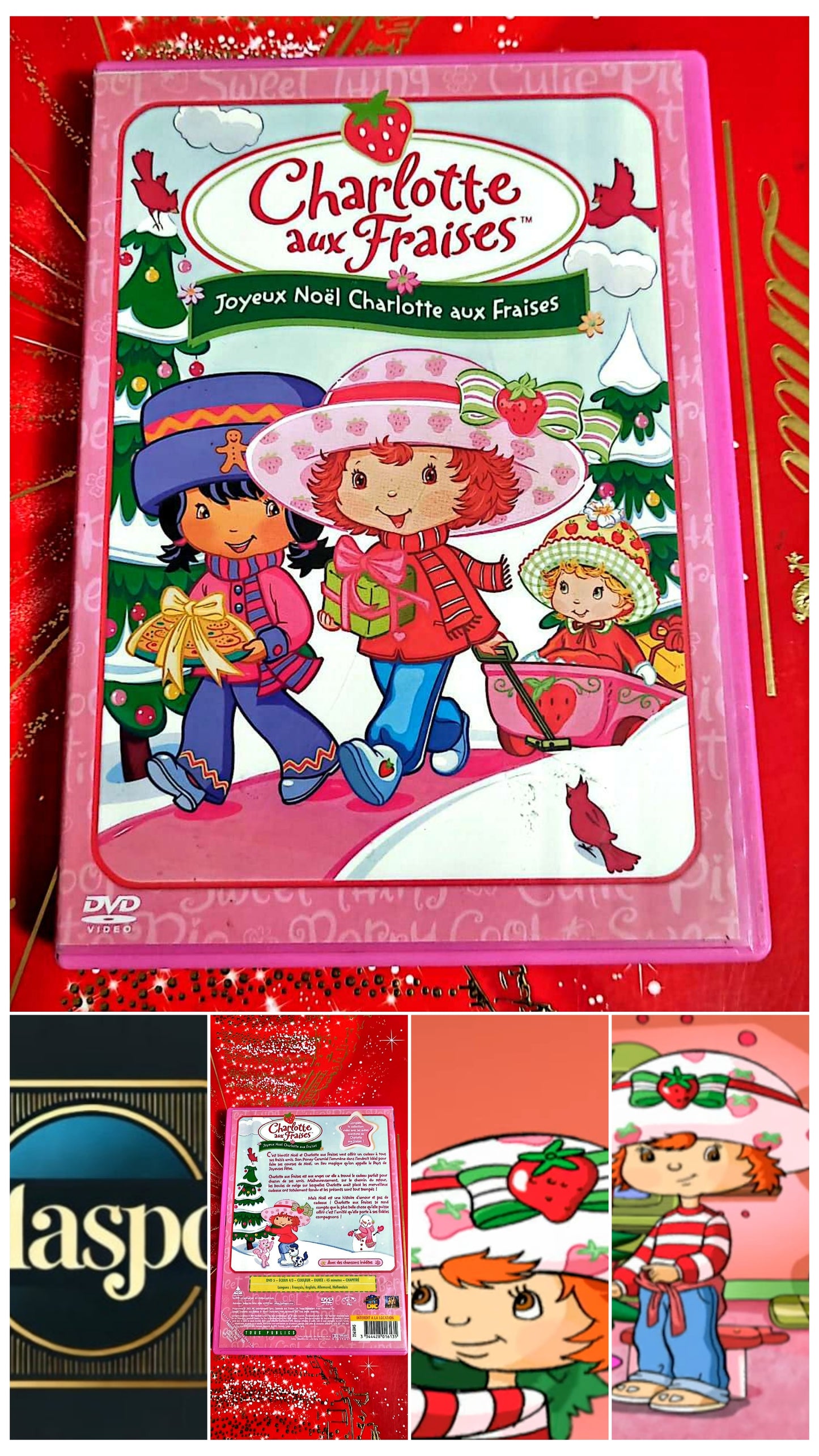 DVD : charlotte aux fraises joyeux charlotte aux fraises