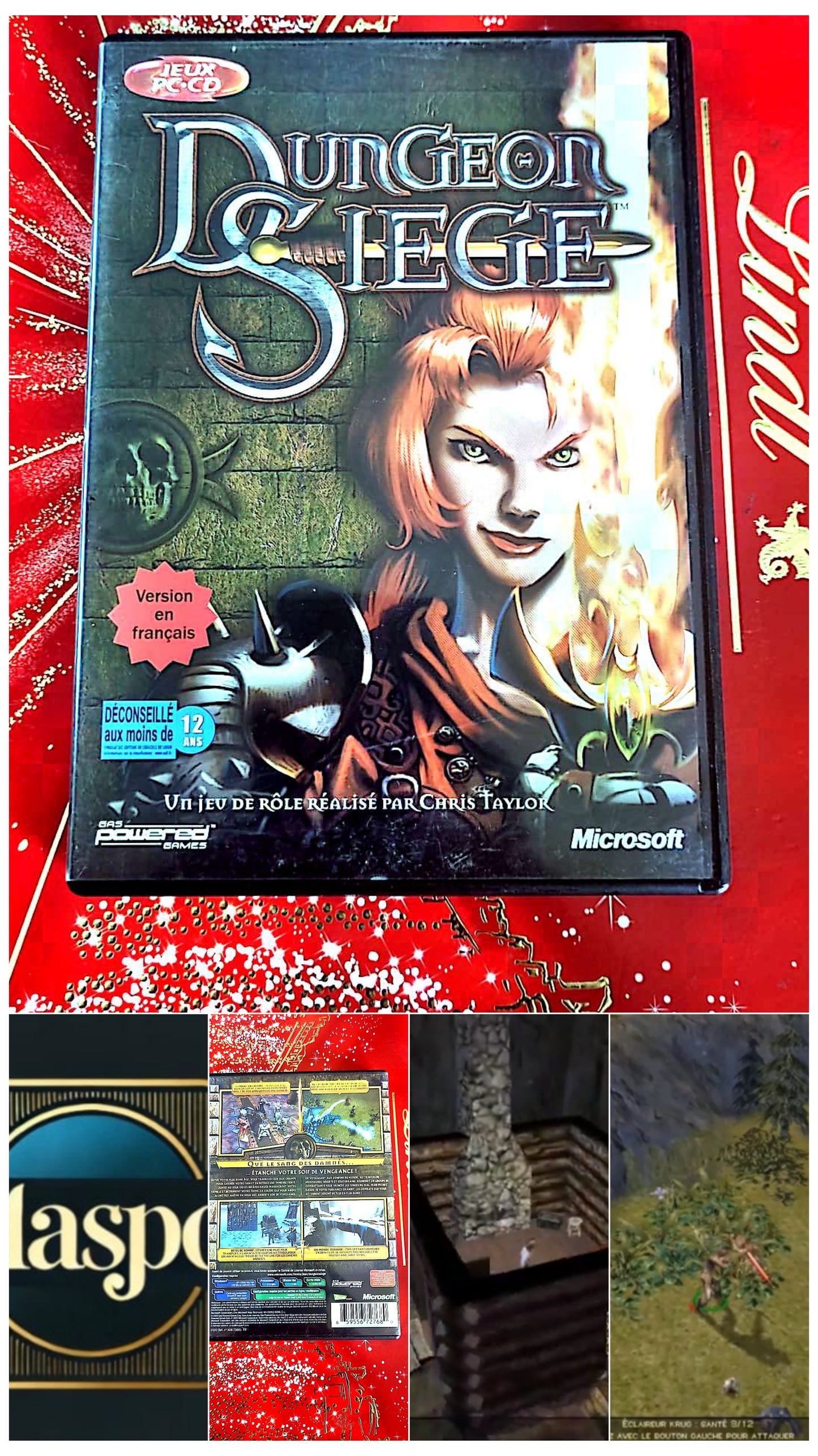 Jeu vidéo PC : dungeon siege