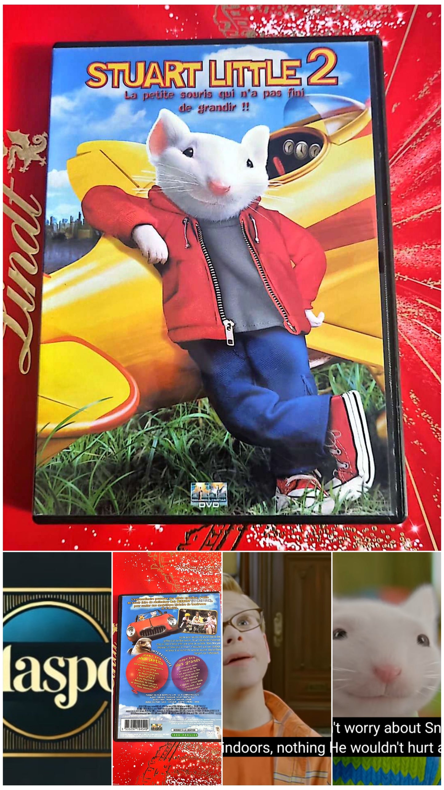 DVD : stuart little 2