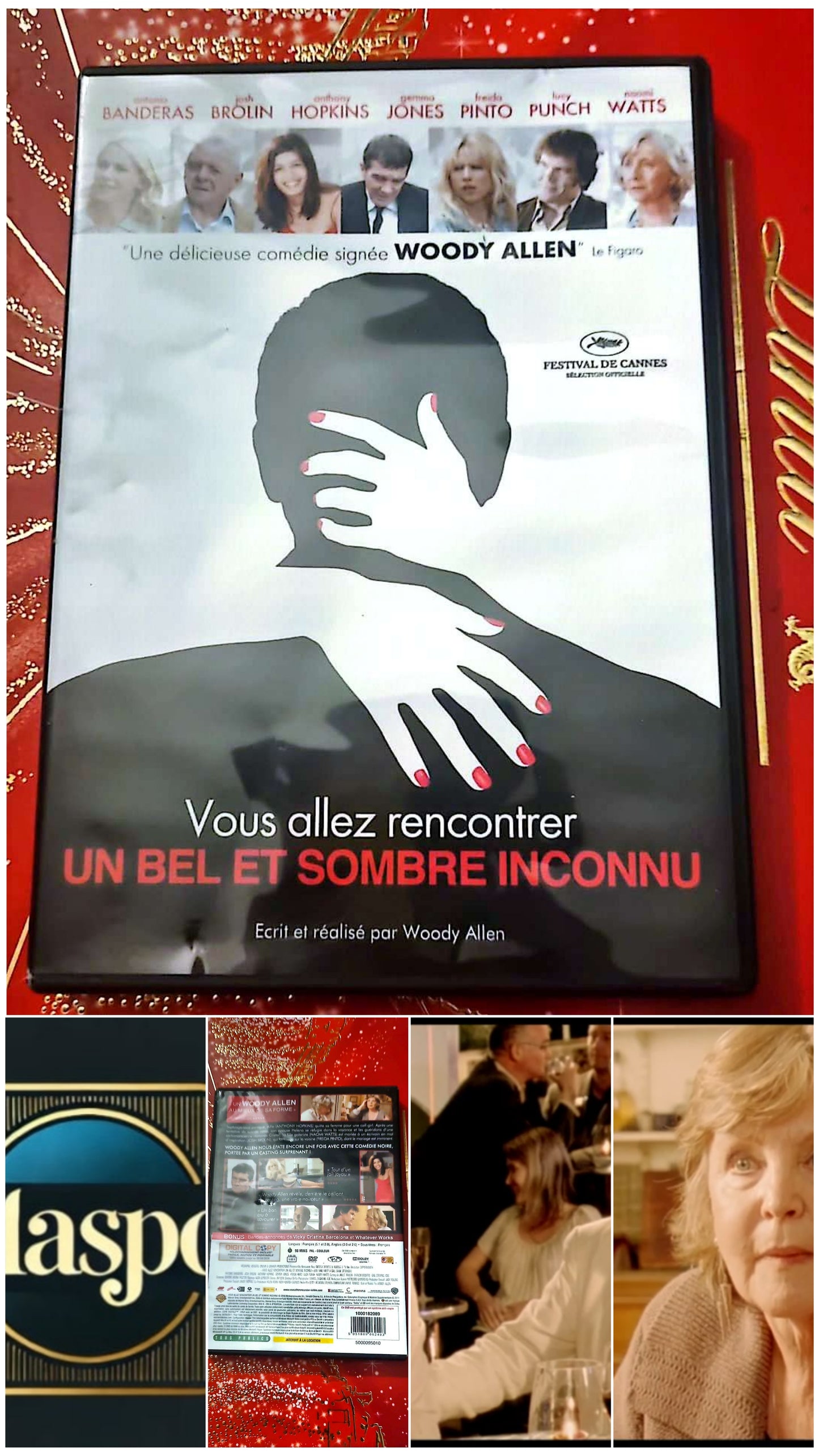 DVD : vous allez rencontrer un bel et sombre inconnu