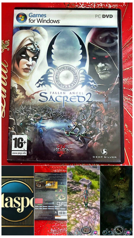 Jeu vidéo PC : fallen angel sacred 2