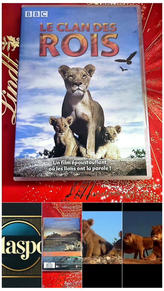DVD le clan des rois