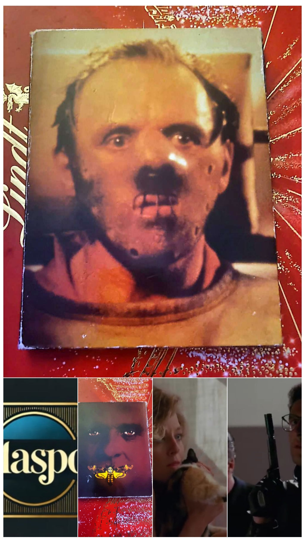 DVD : 🎬 Le Silence des Agneaux – Édition Collector DVD – Film Thriller Policier – Version Française + – Anthony Hopkins, Jodie Foster – Zone 2