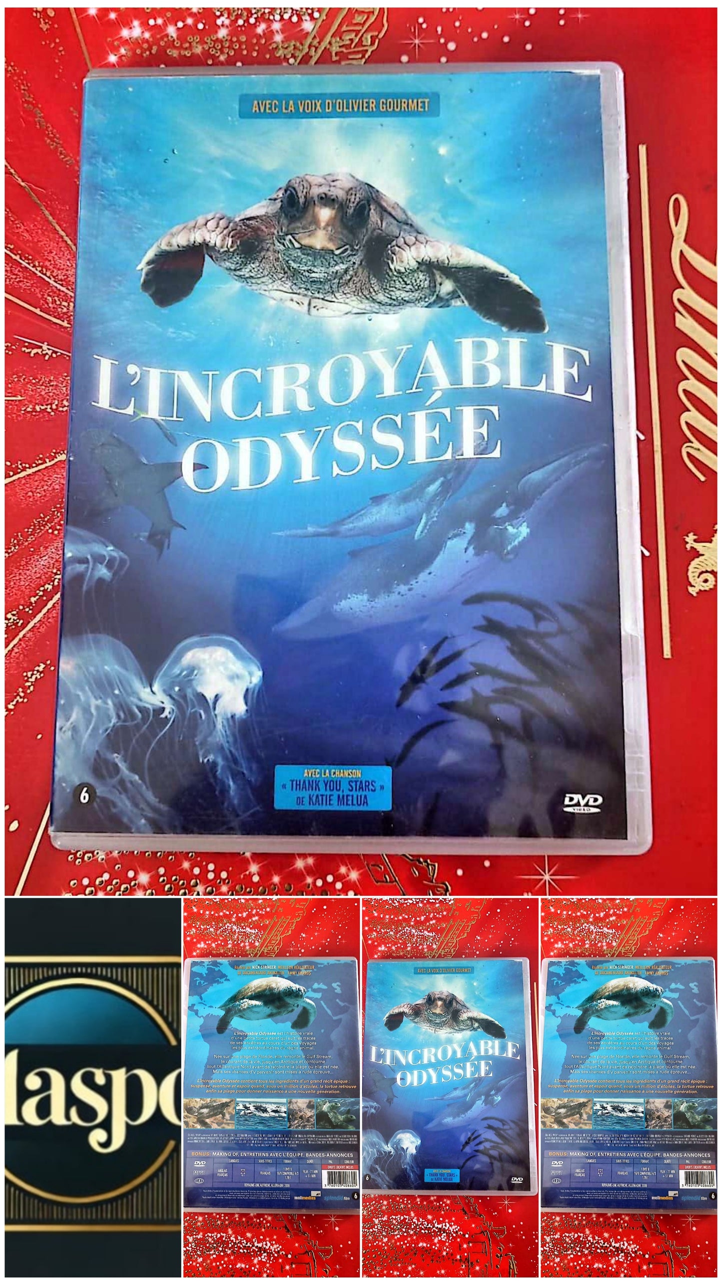 DVD : l'incroyable Odyssée
