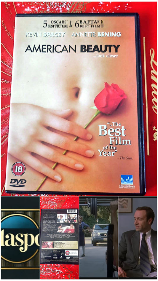 american beauty DVD vendu en Bon état