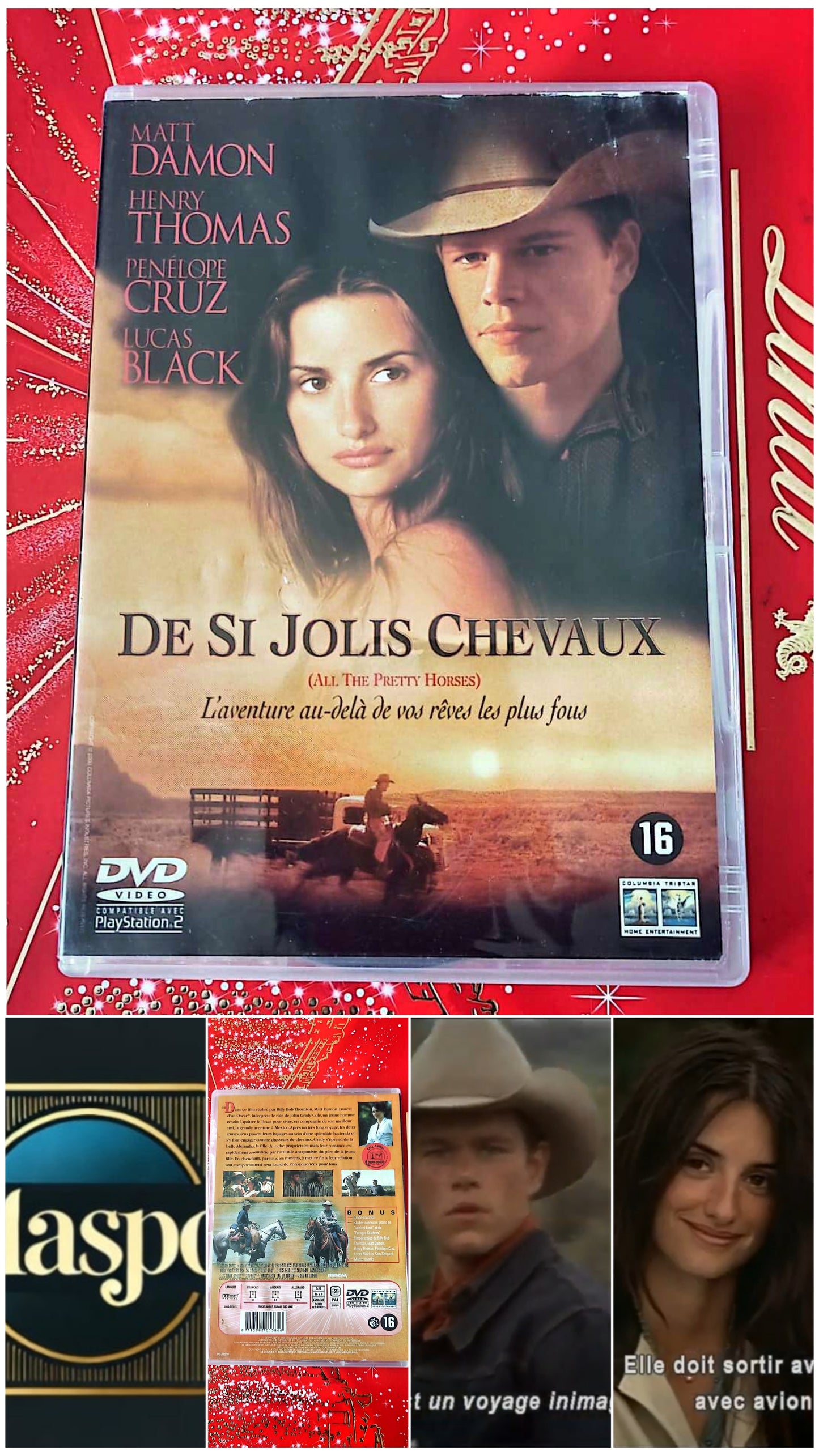 DVD : de si jolis chevaux