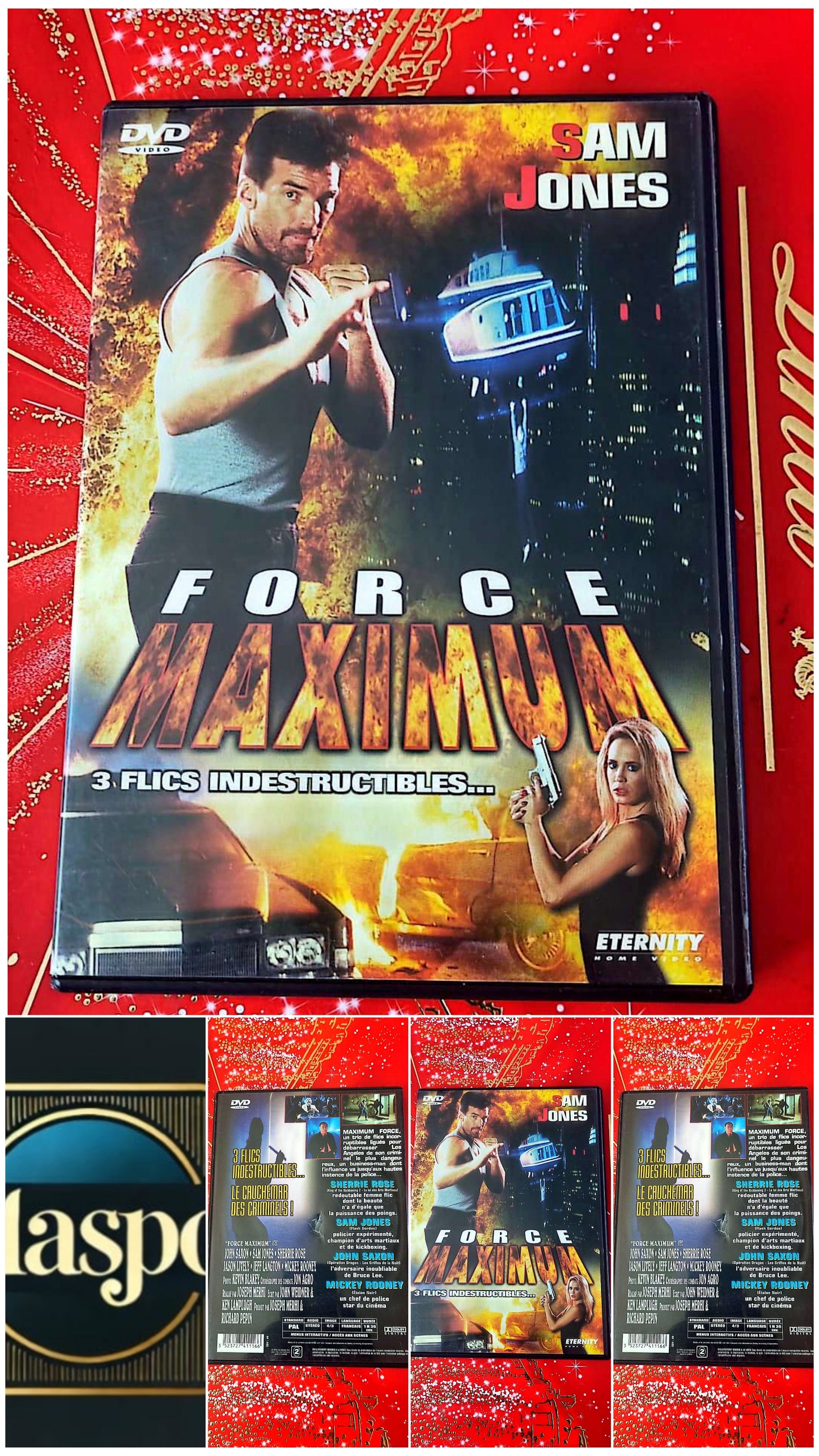DVD : force maximum 3 flics indestructible