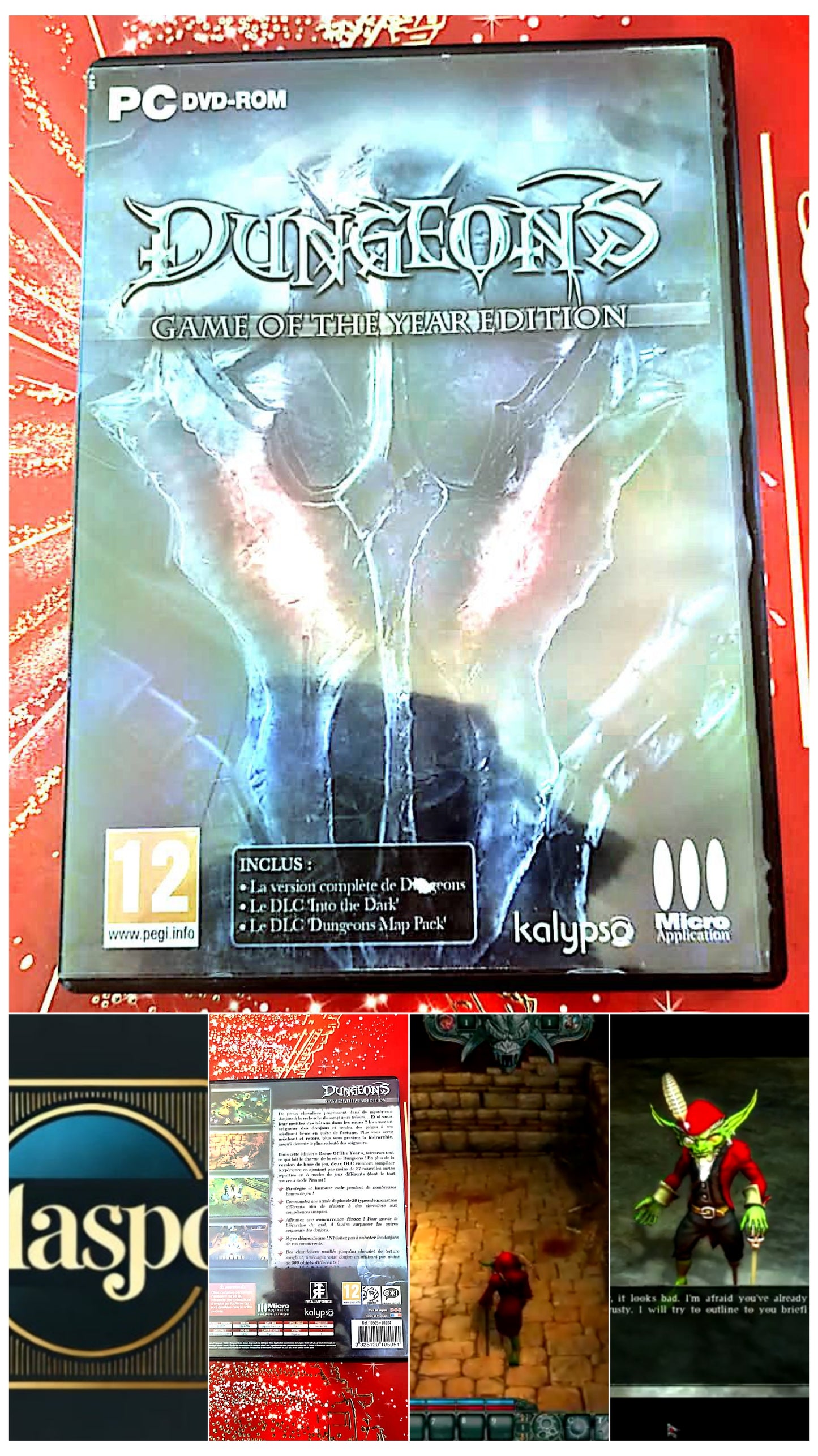 jeu pc dungeons game of the year edition vendu en bon etat par blaspo
