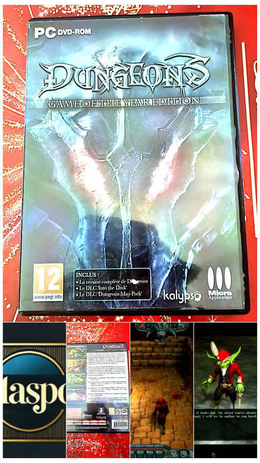 jeu pc dungeons game of the year edition vendu en bon etat par blaspo