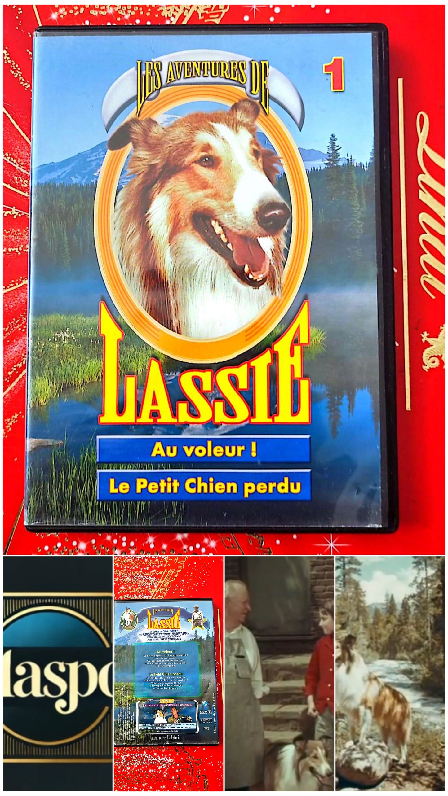 les aventures de lassie au voleur! le petit chien perdu DVD