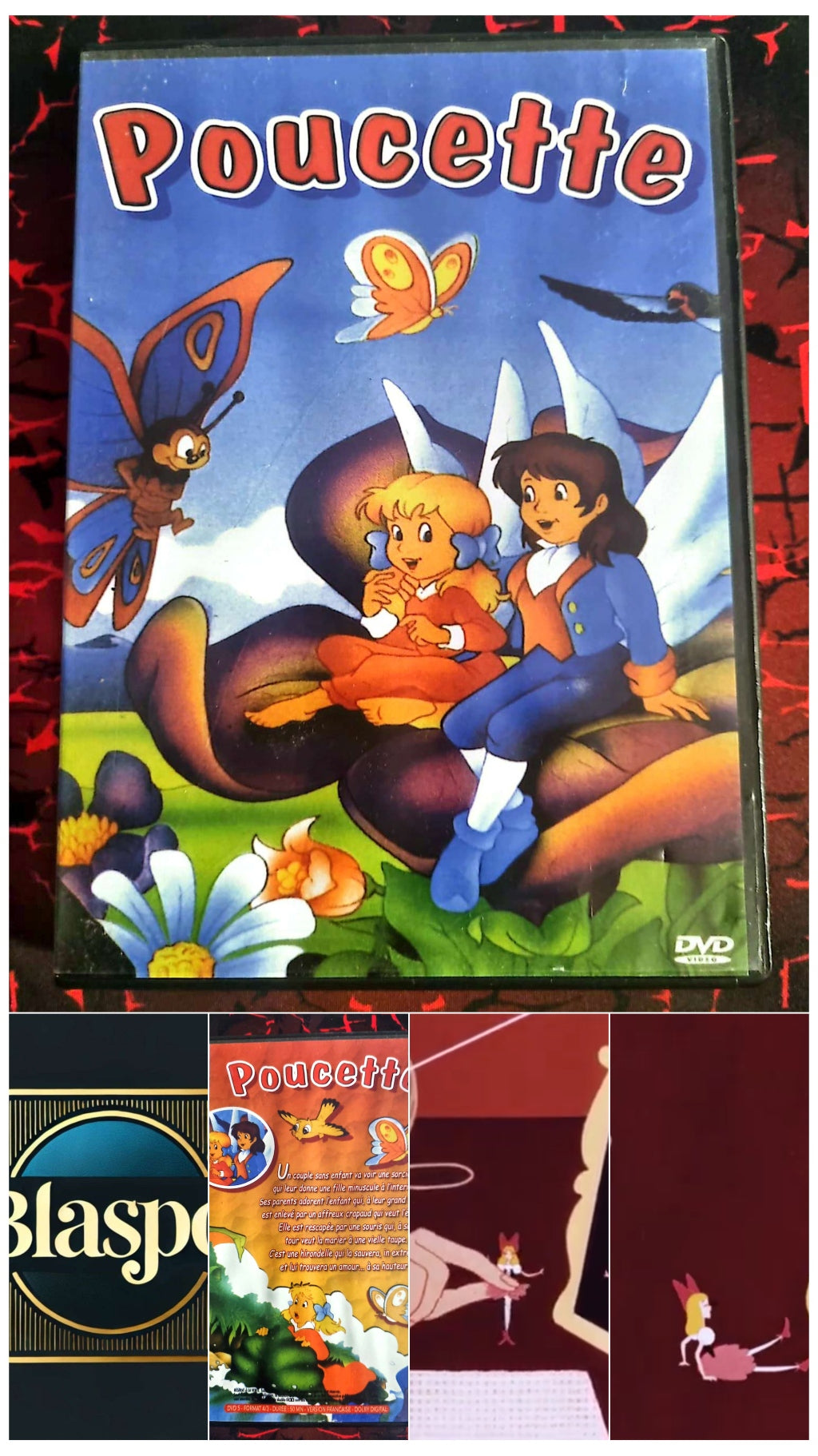 DVD Poucette – Conte animé – VF – Jeunesse – Classique de l’enfance dvd