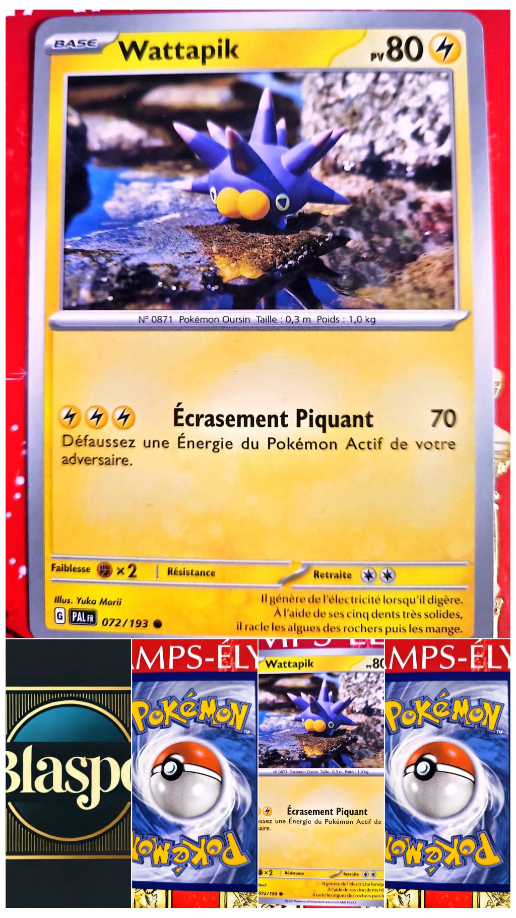 Carte Pokémon Wattapik PV80 | Carte originale | Pokémon TCG carte pokemon