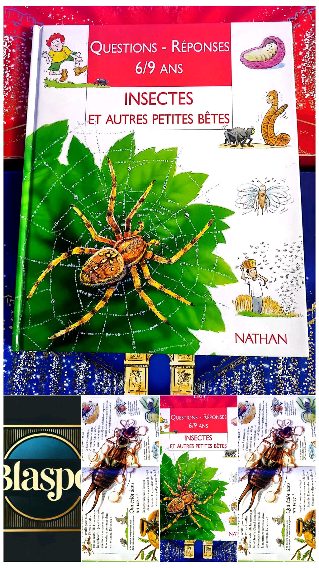 Questions – Réponses 6/9 ans – Insectes et autres petites bêtes | Livre enfant livre