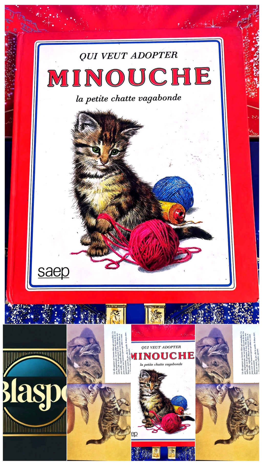 Qui veut adopter Minouche | Livre jeunesse | Histoire illustrée livre