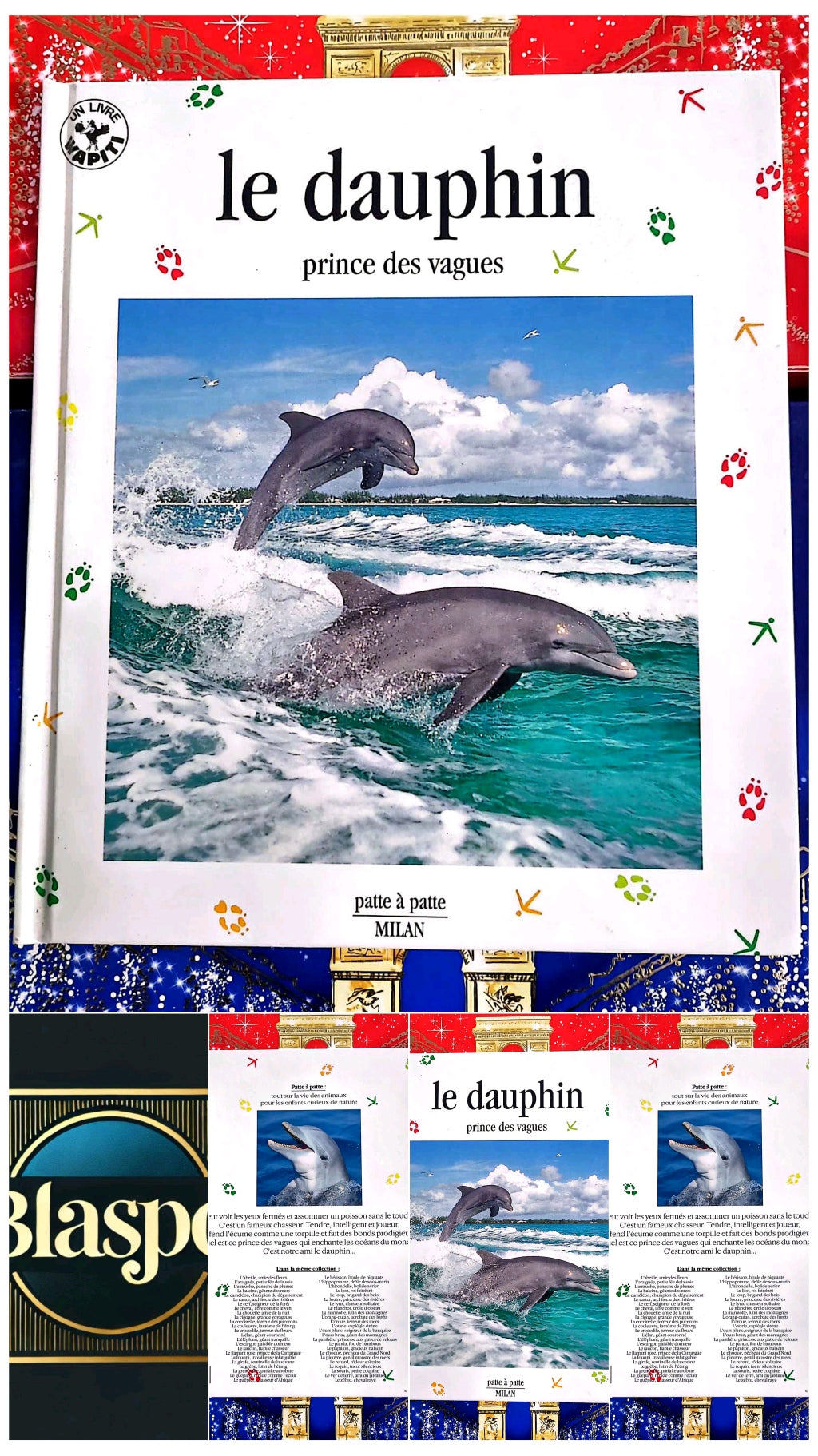 Le Dauphin – Prince des vagues | Livre enfant documentaire animaux marins | Album illustré livre