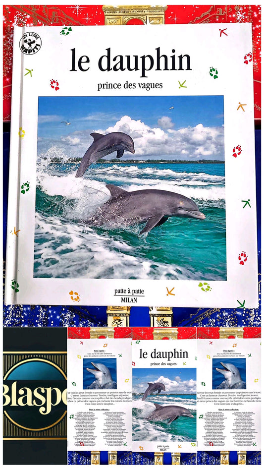 Le Dauphin – Prince des vagues | Livre enfant documentaire animaux marins | Album illustré livre