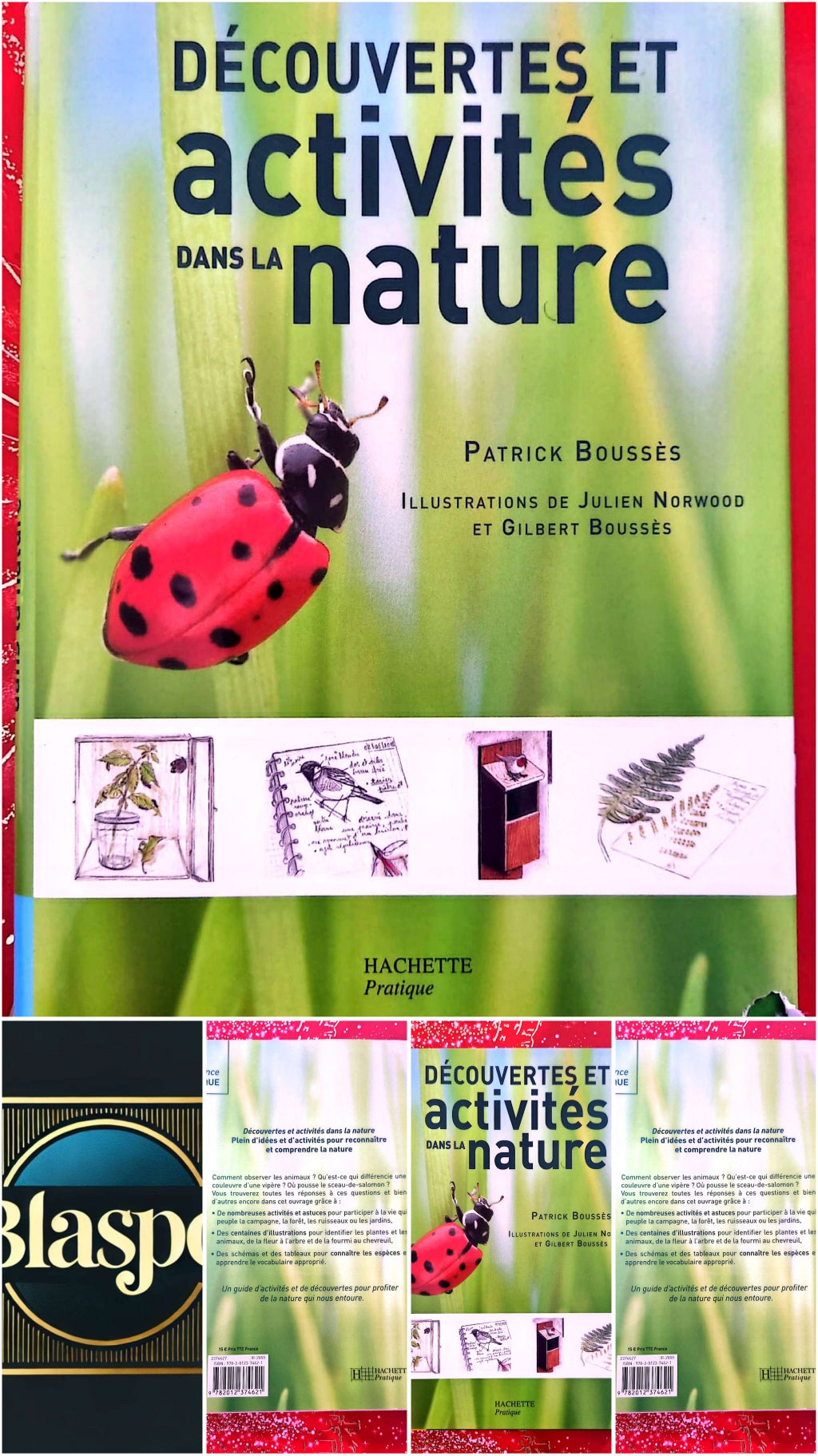 Découvertes et activités dans la nature – Patrick Boussès – Guide pratique – Hachette Pratique livre