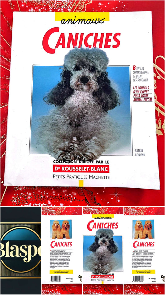 Caniches – Bien comprendre et bien les soigner – Guide pratique chiens – Hachette livre