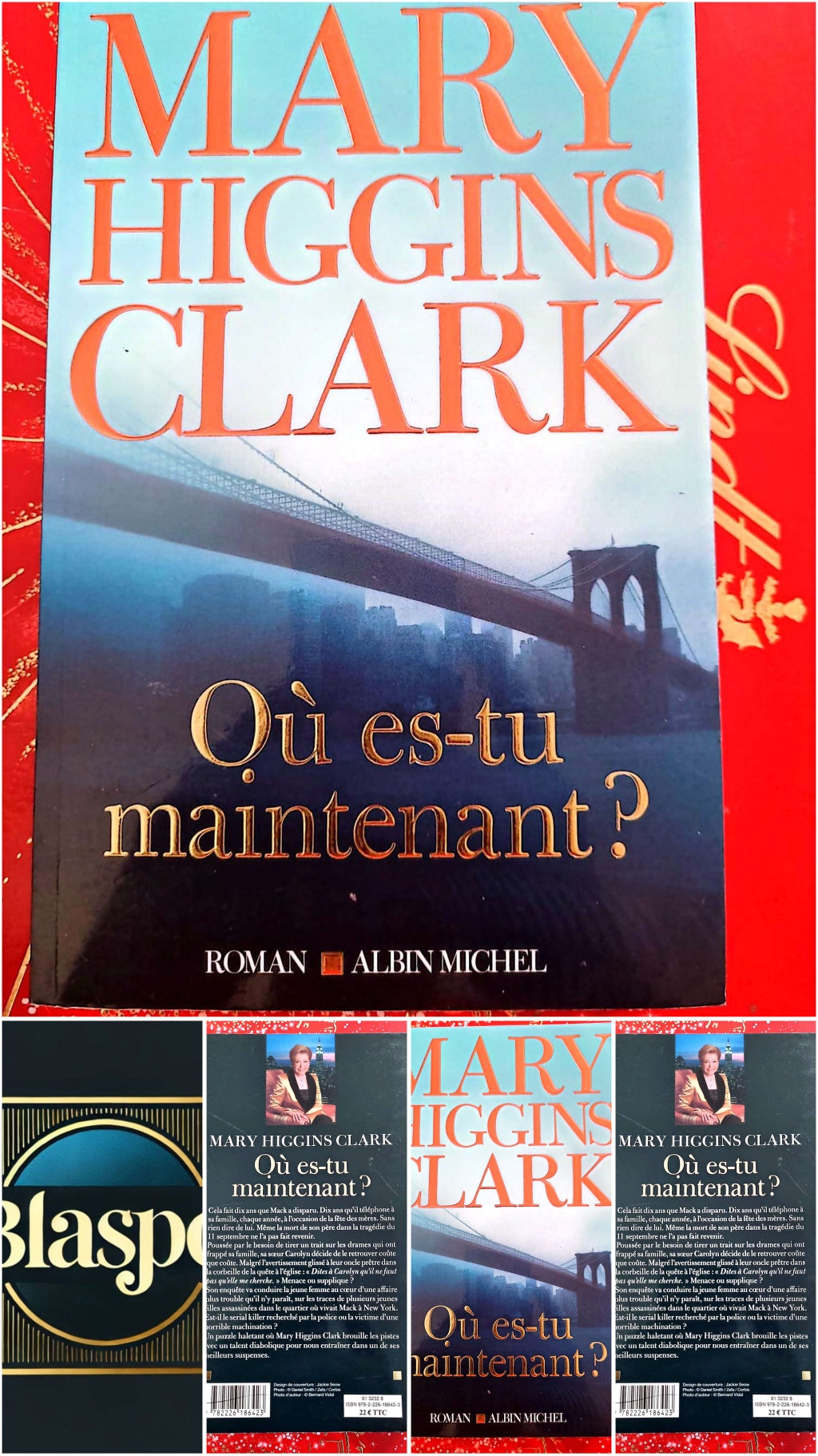 Où es-tu maintenant ? – Mary Higgins Clark – Roman policier – Albin Michel livre