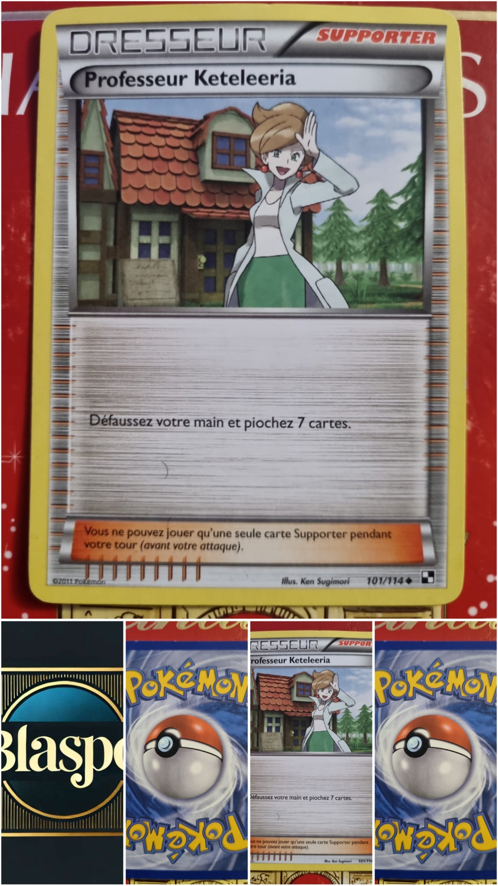 Carte Dresseur Pokémon Professeur Keteleria 101/114 – XY – Carte Officielle Française carte pokemon