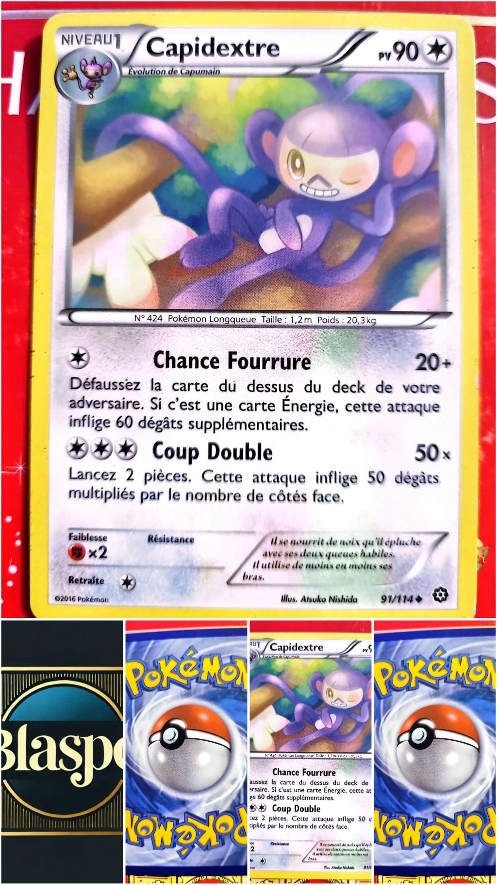 Carte Pokémon Capidextre 91/114 – XY – Carte Officielle Française carte pokemon