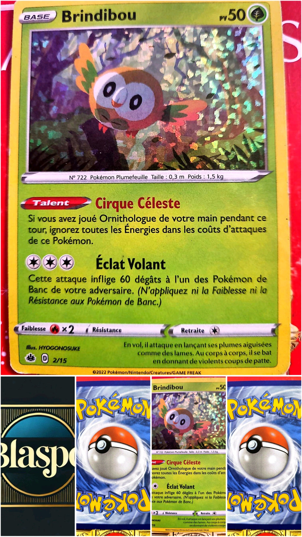 Carte Pokémon Brindibou 2/15 – McDonald’s – Carte Officielle carte pokemon