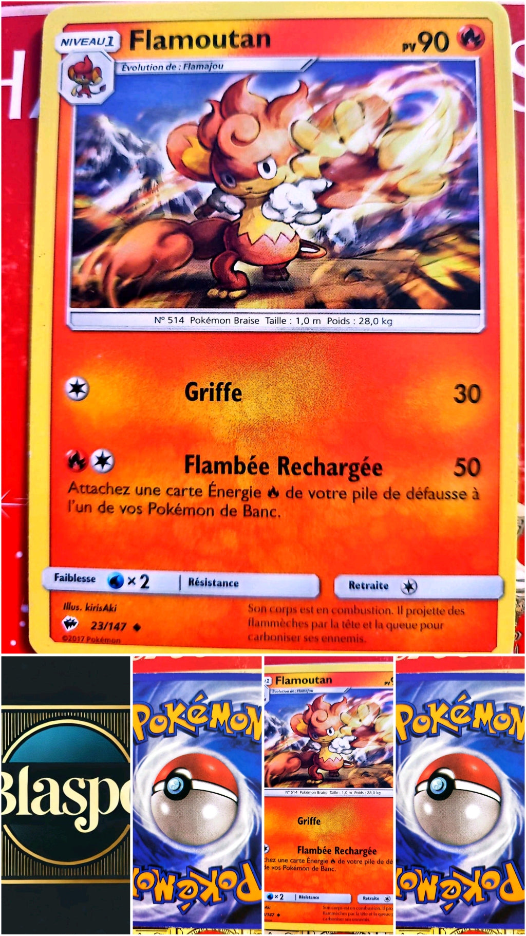 Carte Pokémon Flamoutan 23/147 – XY – Carte Officielle carte pokemon