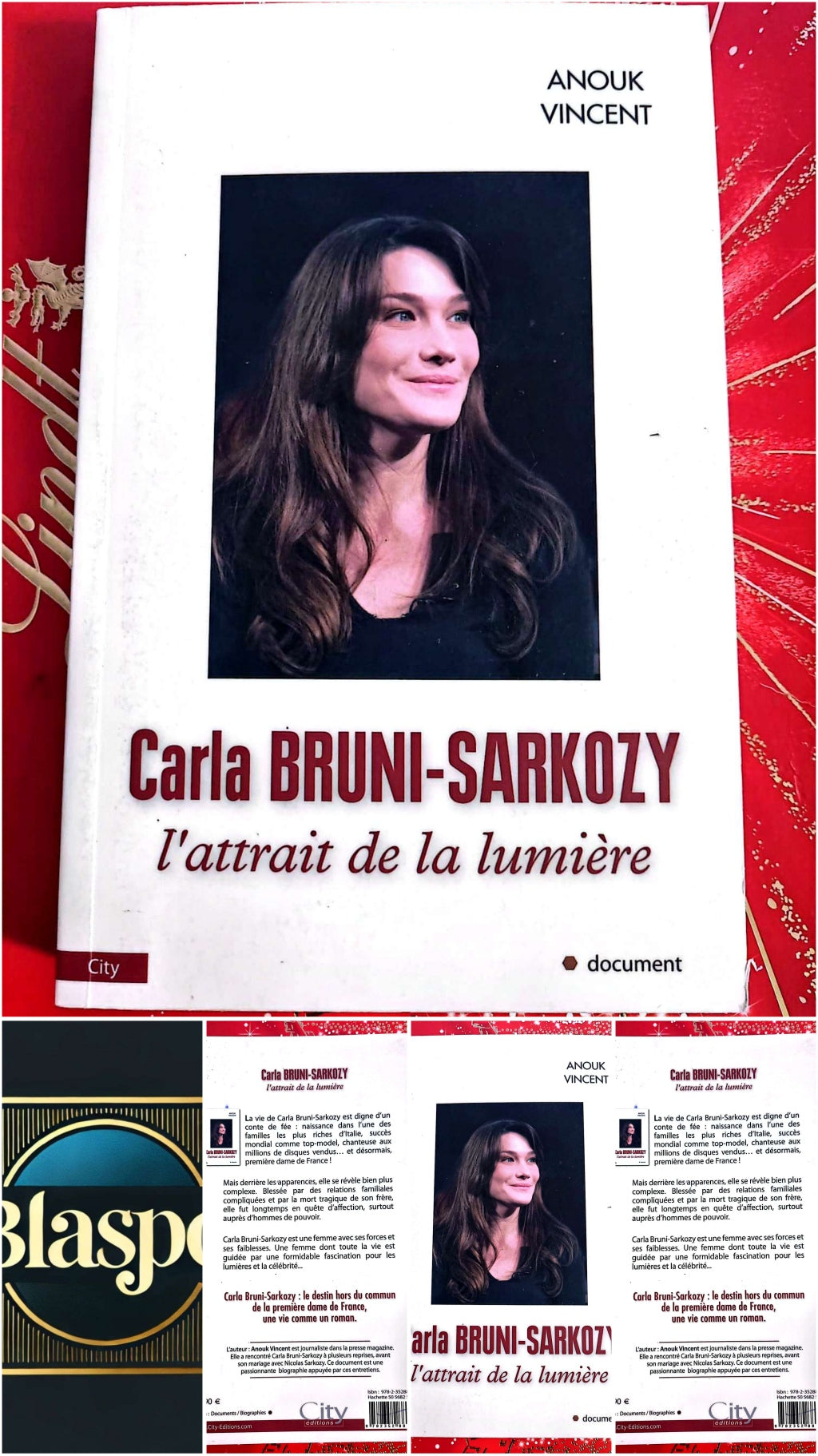 Carla Bruni-Sarkozy – L’attrait de la lumière – Anouk Vincent – Biographie livre