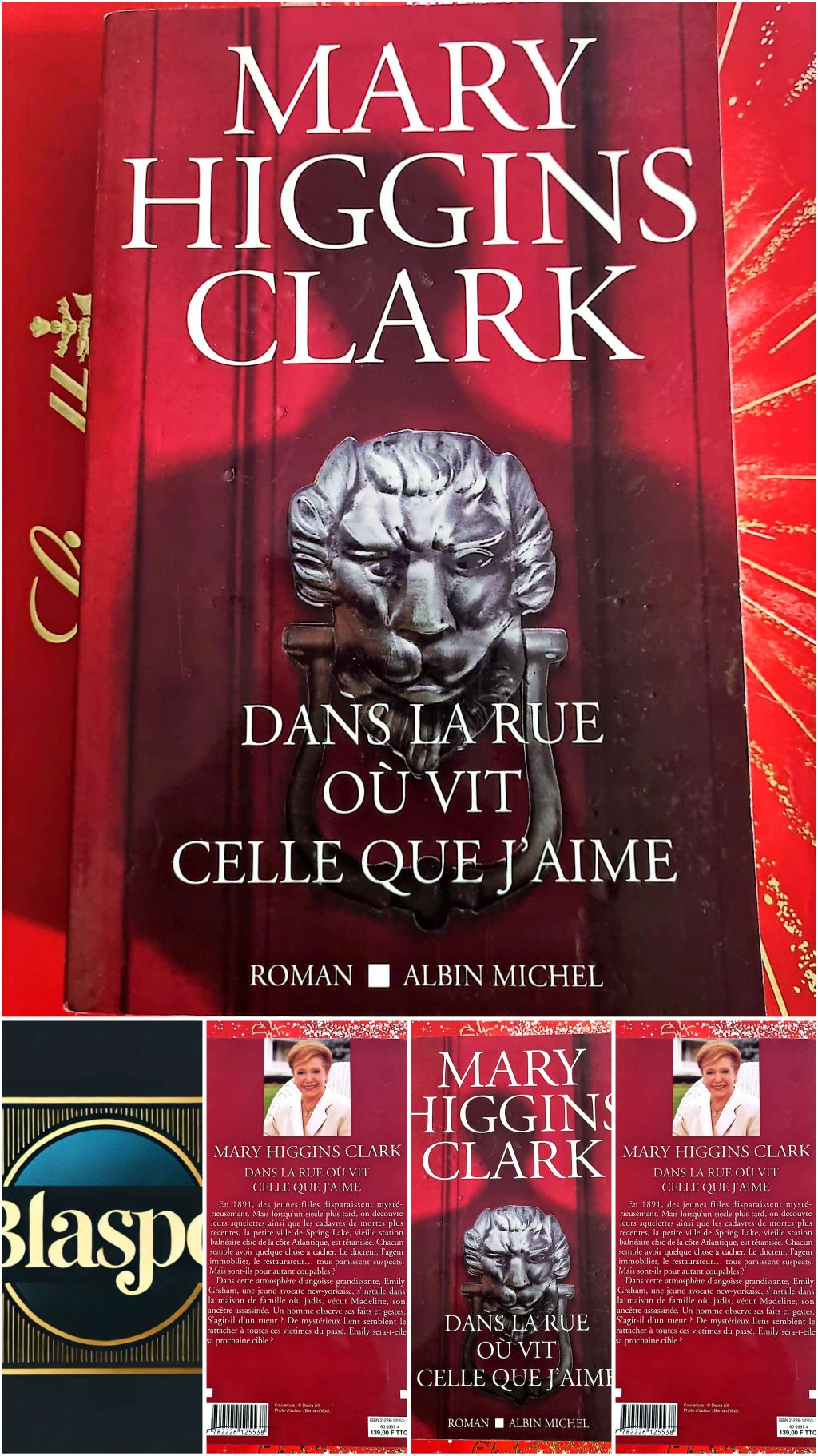 Dans la rue où vit celle que j’aime – Mary Higgins Clark – Roman Policier livre