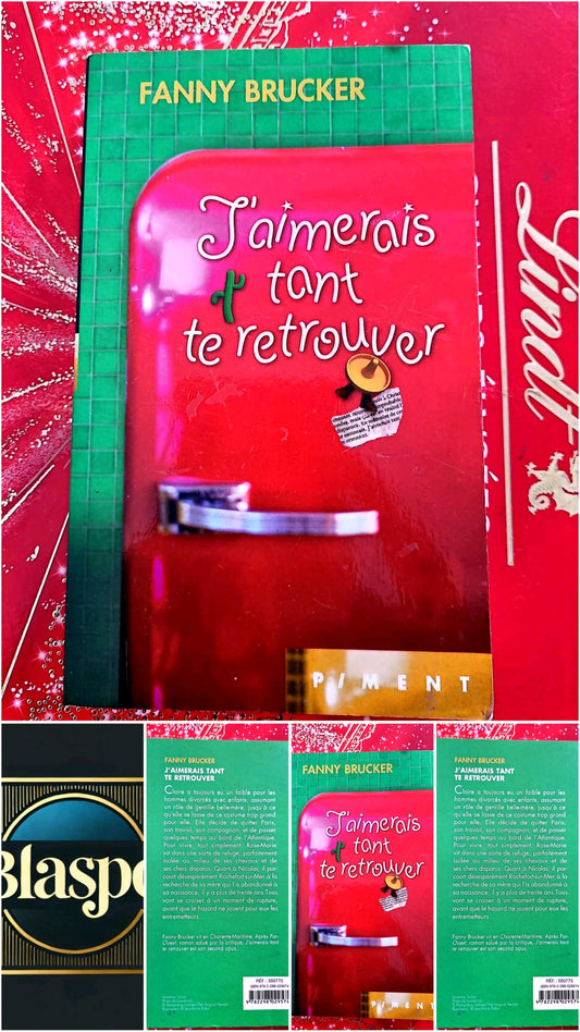 J’aimerais tant te retrouver – Fanny Brucker – Roman français – Éditions Piment livre