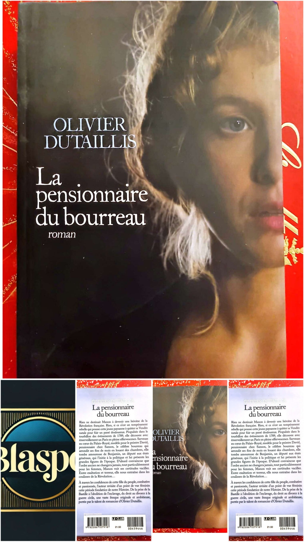 La Pensionnaire du bourreau – Olivier Dutaillis – Roman historique livre