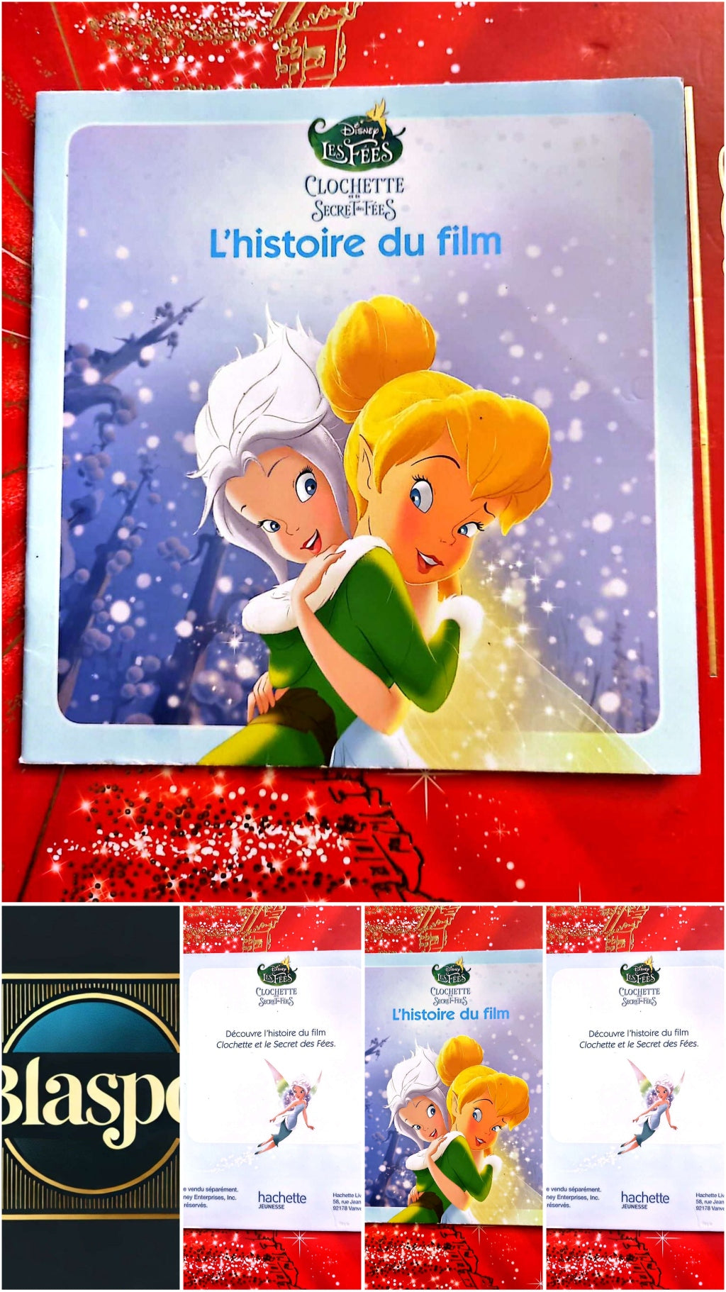 Clochette et le Secret des Fées – L’histoire du film – Disney Les Fées – Livre jeunesse livre jeunesse