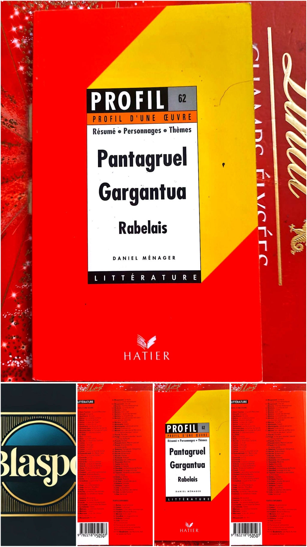 Pantagruel / Gargantua – Rabelais – Profil d’une œuvre n°62 – Hatier Littérature livre