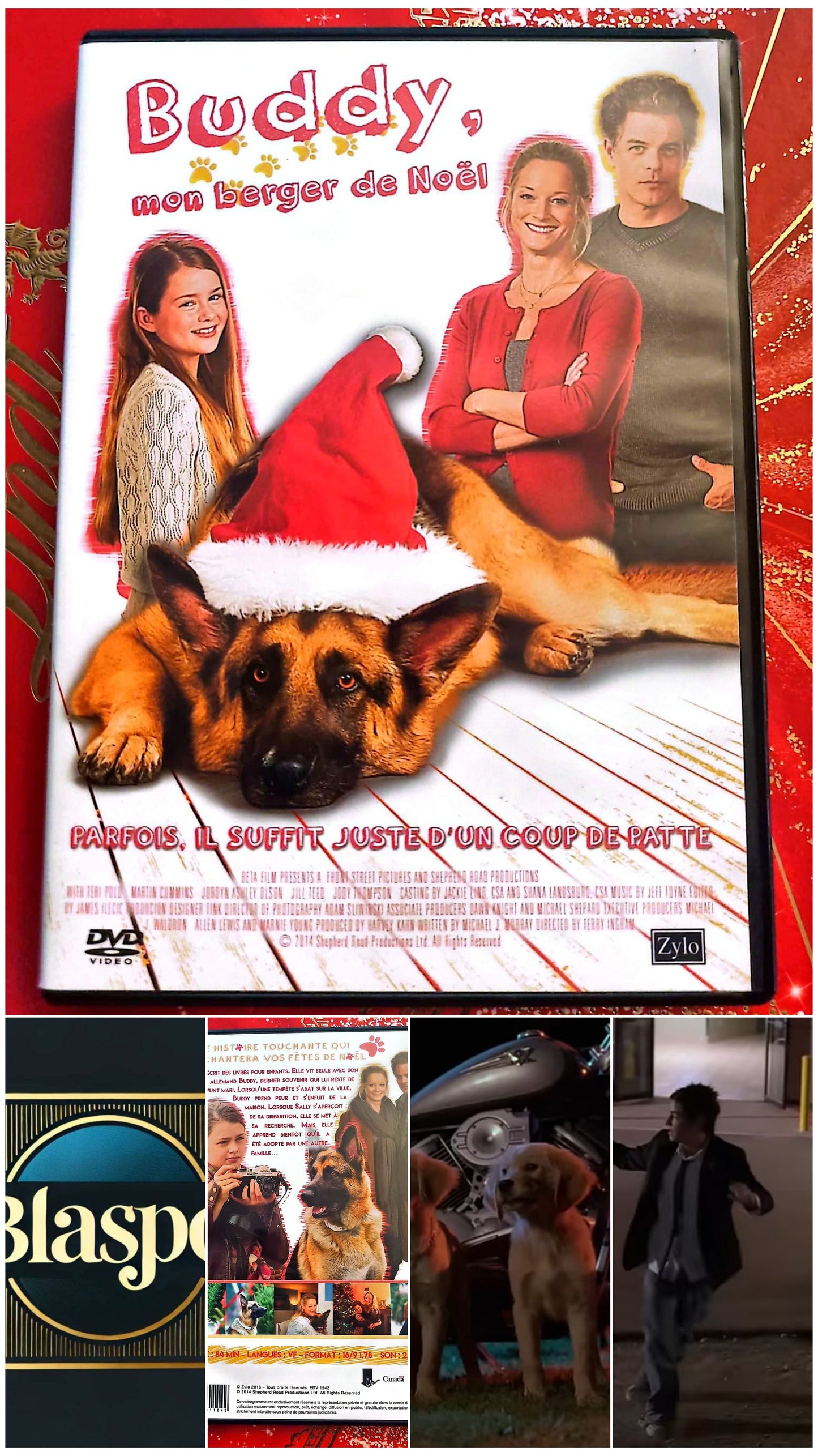 Buddy, mon berger de Noël – DVD – Film Familial – Comédie – Chien – Noël