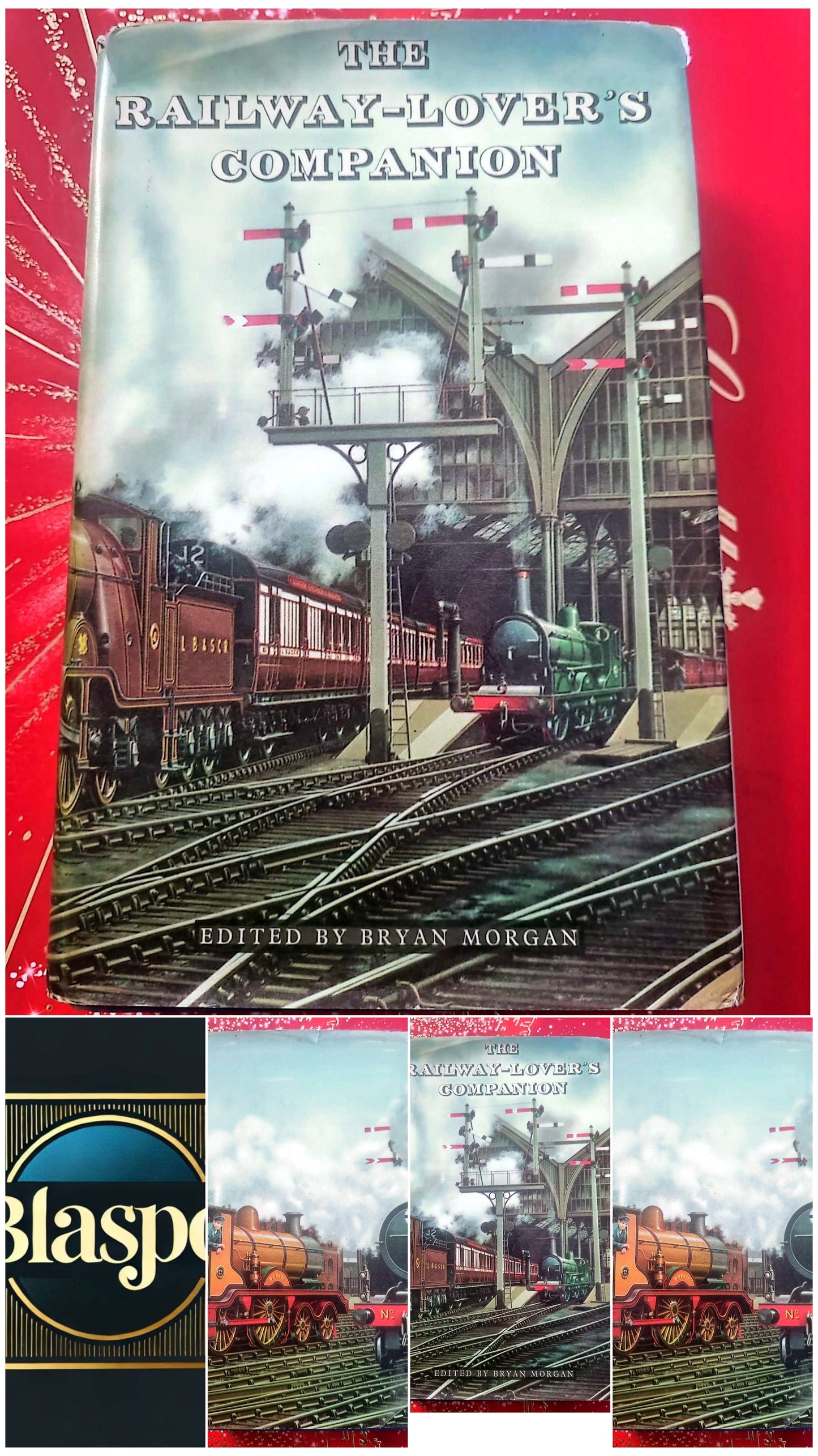 The Railway-Lover’s Companion – Bryan Morgan – Livre illustré trains – Édition anglaise