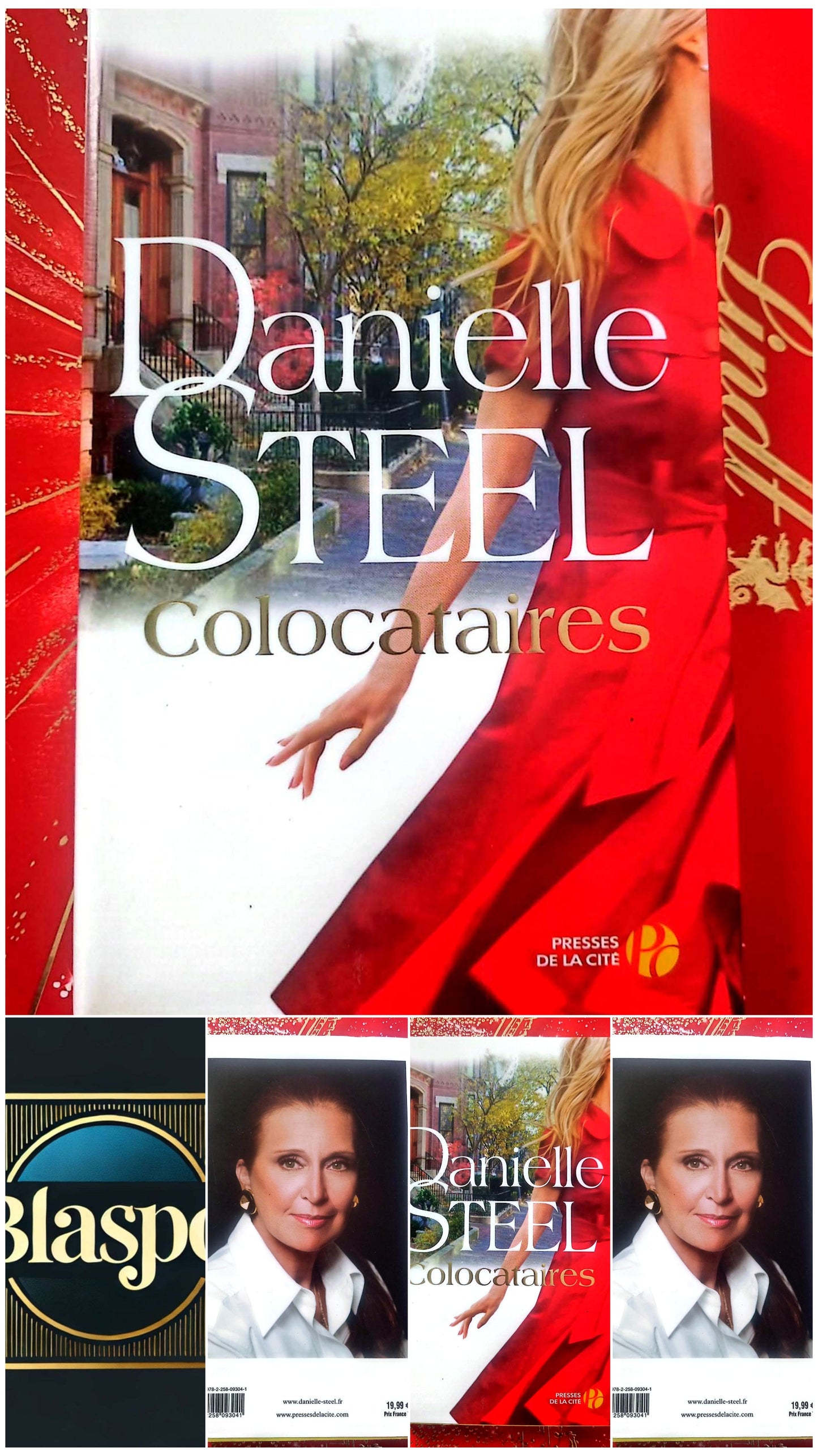 Colocataires – Danielle Steel – Roman contemporain – Presses de la Cité