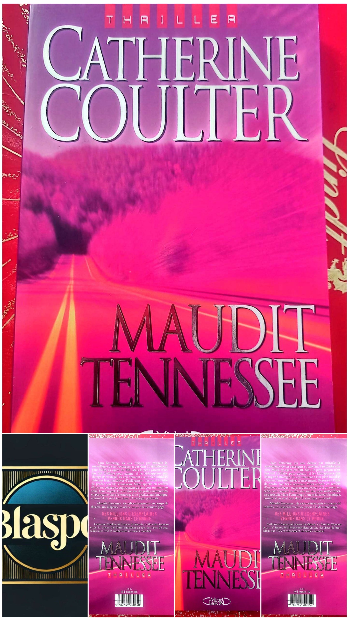 Maudit Tennessee – Catherine Coulter – Thriller – Michel Lafon