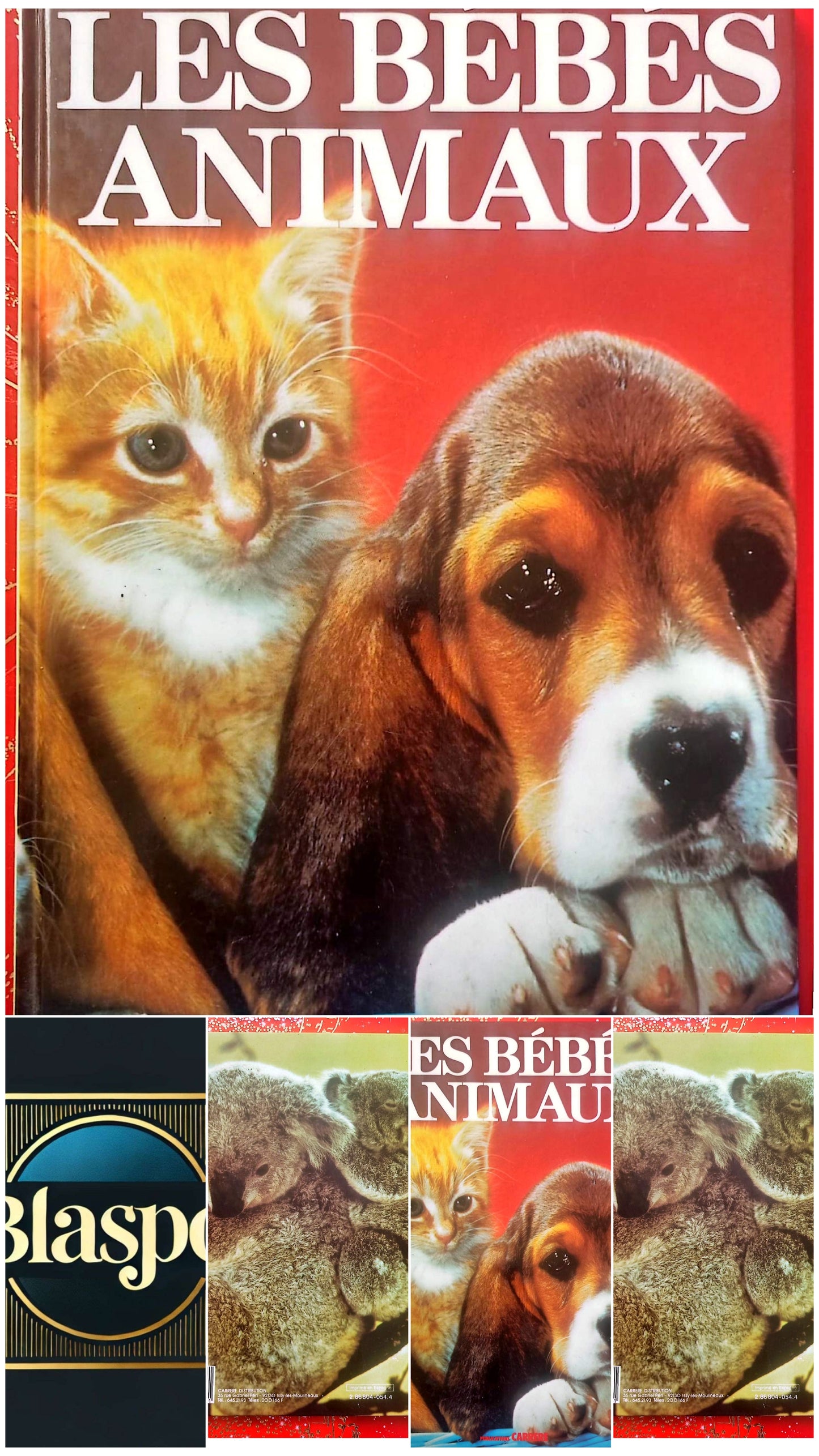 Les Bébés Animaux – Livre documentaire illustré – Jeunesse
