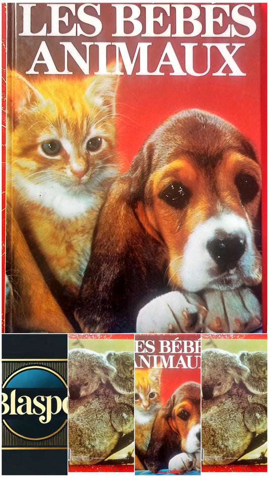 Les Bébés Animaux – Livre documentaire illustré – Jeunesse