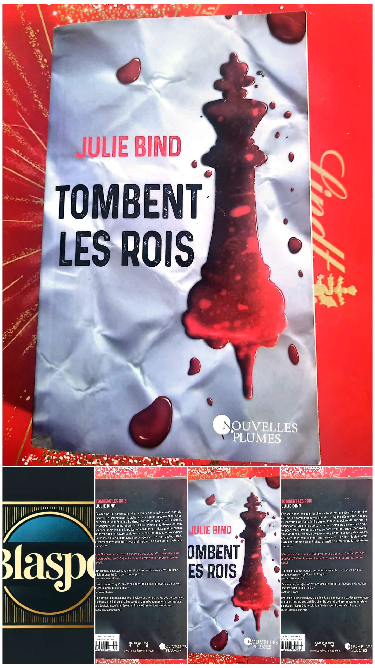 Livre Policier – Julie Bind – Tombent les rois – Roman policier français