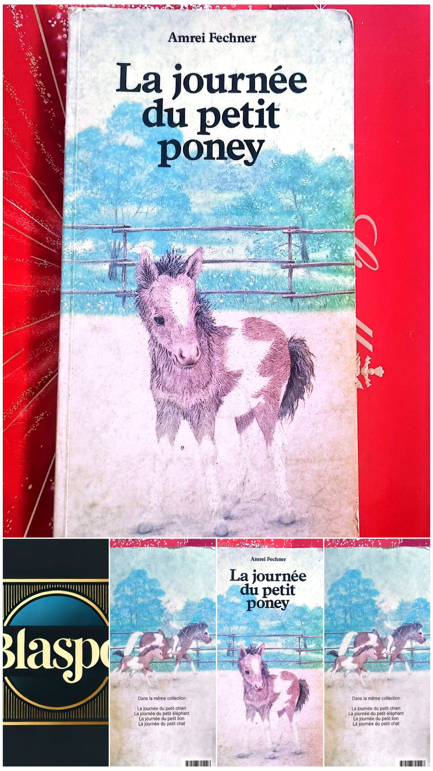 Livre Jeunesse – Amrei Fechner – La journée du petit poney – Centurion Jeunesse