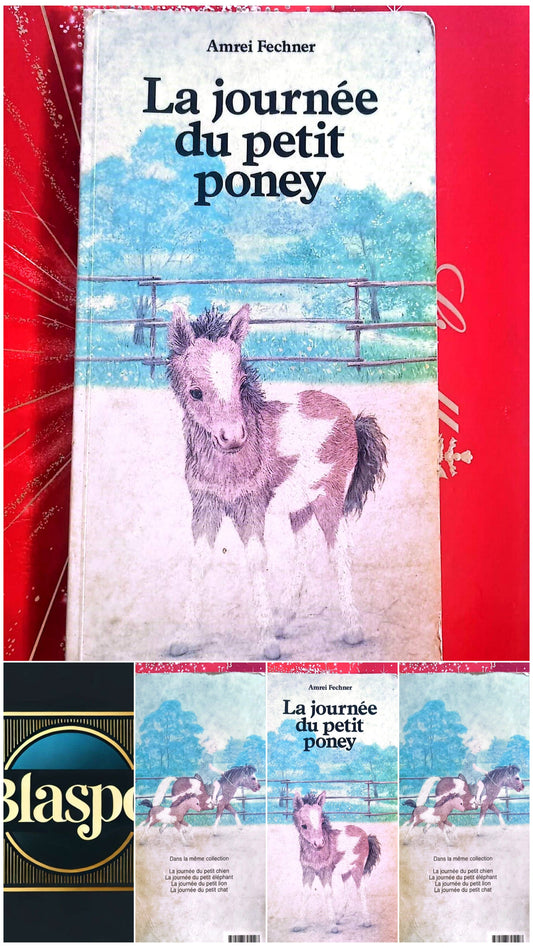 Livre Jeunesse – Amrei Fechner – La journée du petit poney – Centurion Jeunesse