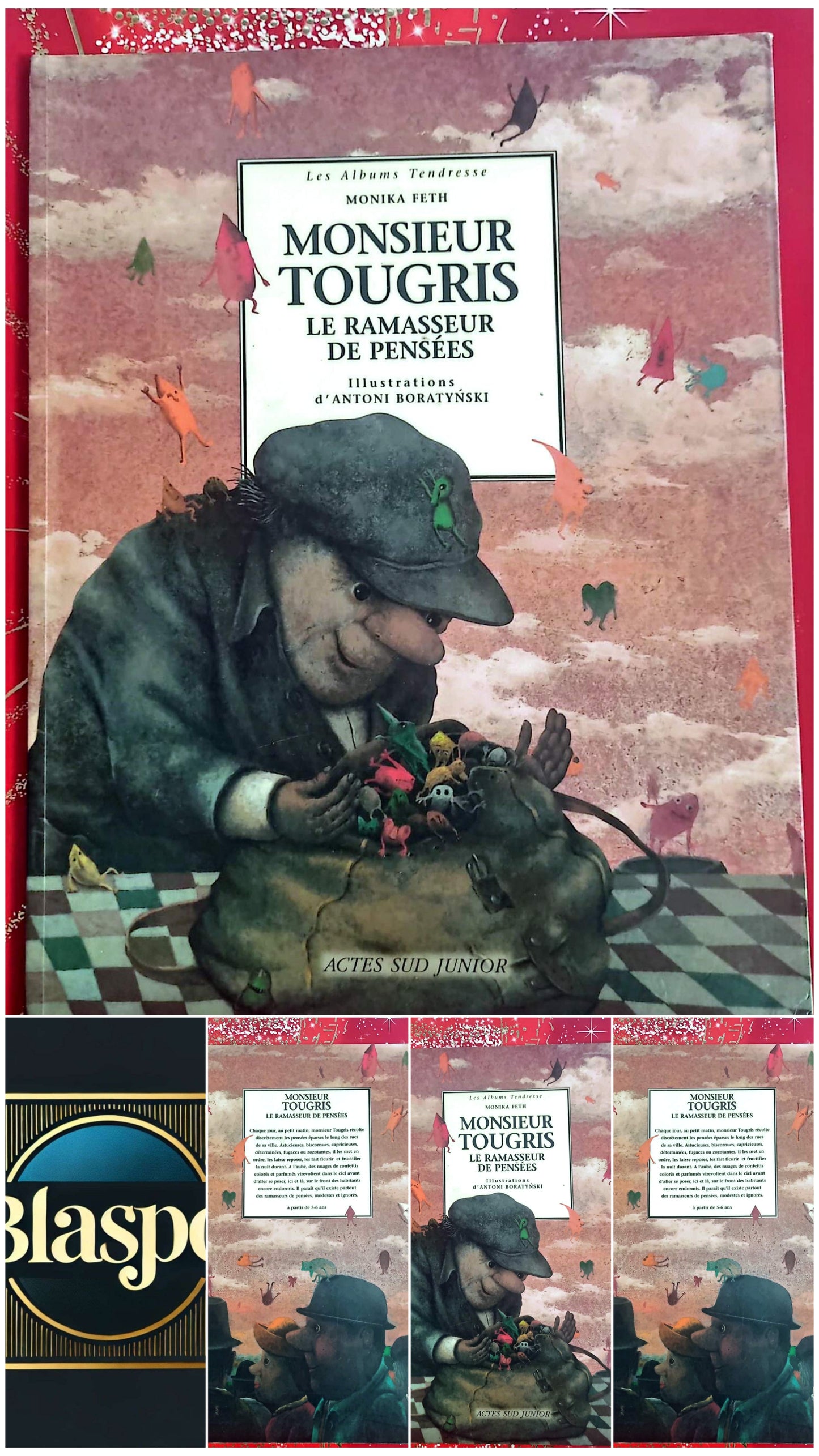 Livre Jeunesse – Monika Feth – Monsieur Tougris, le ramasseur de pensées – Actes Sud Junior