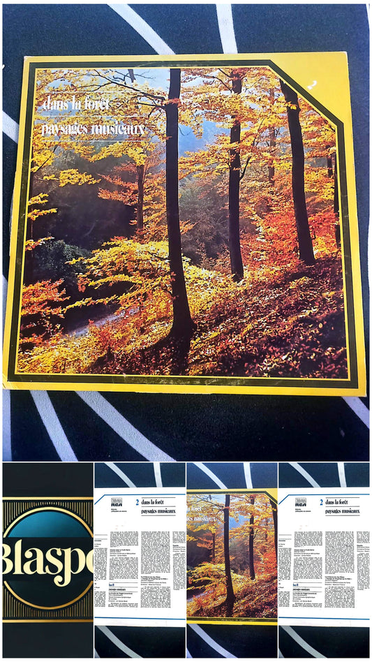 Disque Vinyle 33T – Dans la forêt : paysages musicaux – Musique classique – LP RCA Sélection