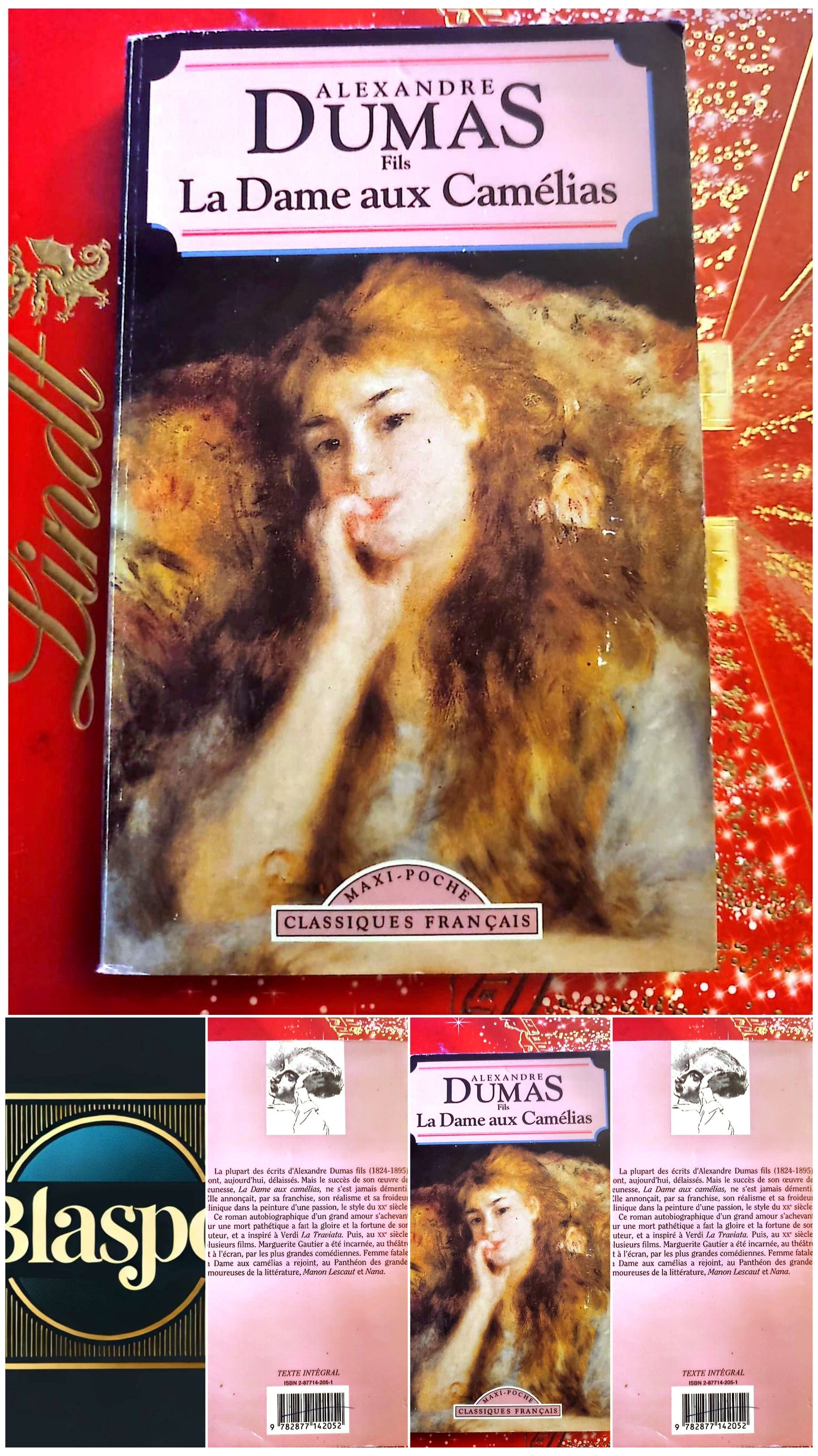La Dame aux Camélias – Alexandre Dumas Fils – Classique Français – Livre de Poche