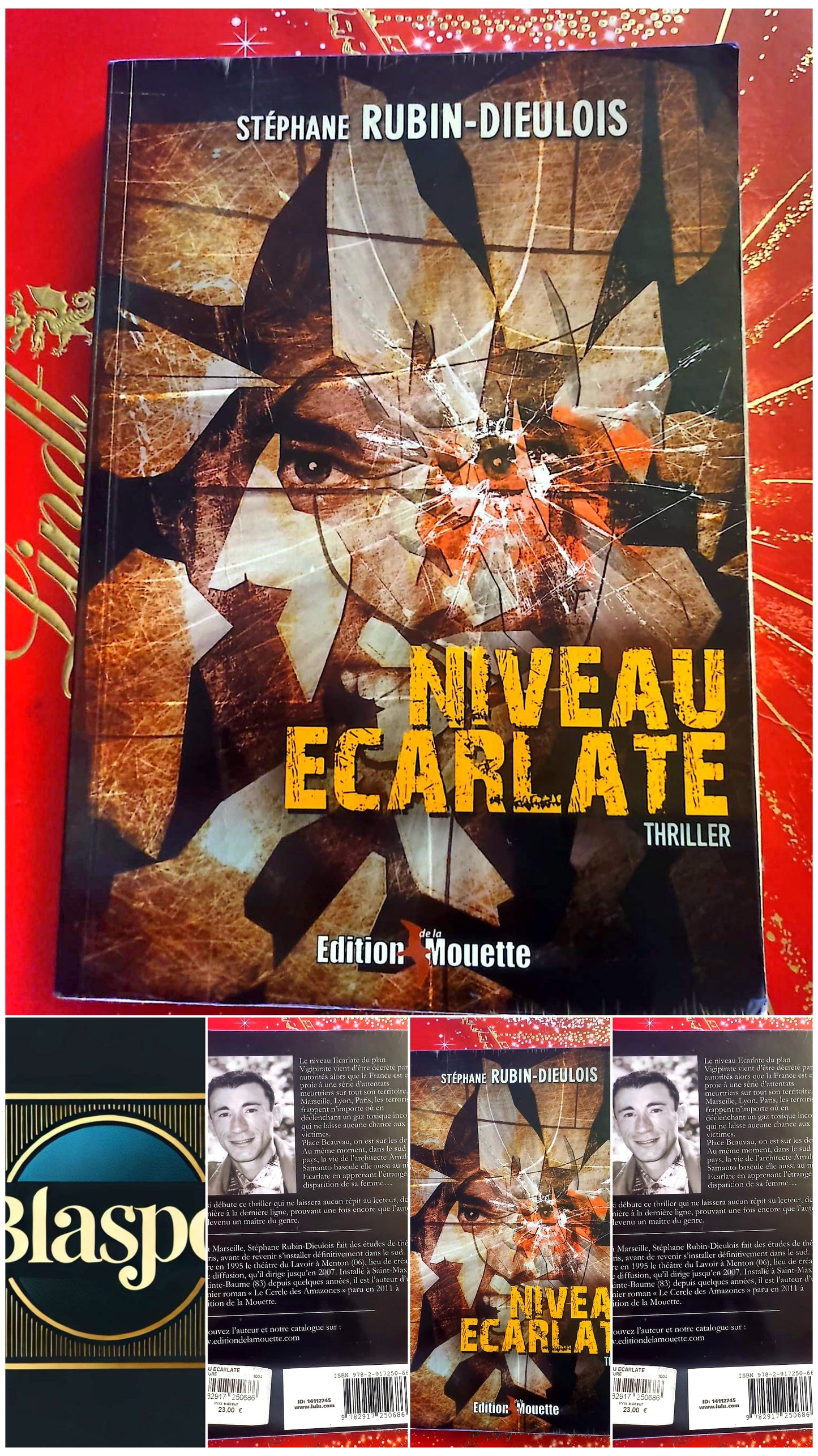 Niveau Écarlate – Stéphane Rubin-Dieulois – Thriller – Livre Broché