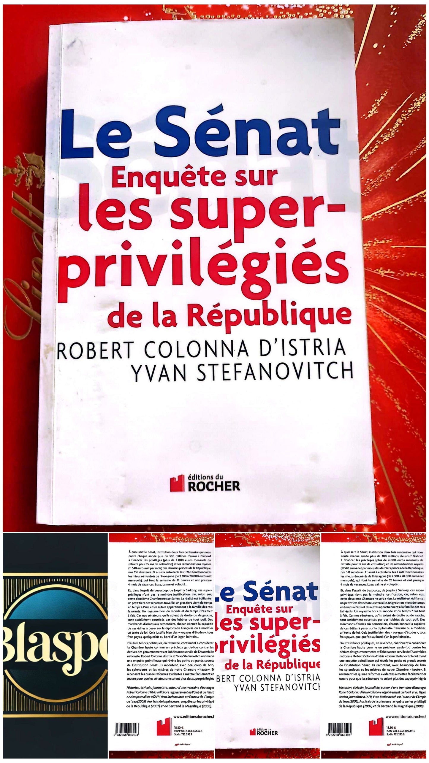 Le Sénat – Enquête sur les super-privilégiés de la République – Essai Politique – Livre Broché