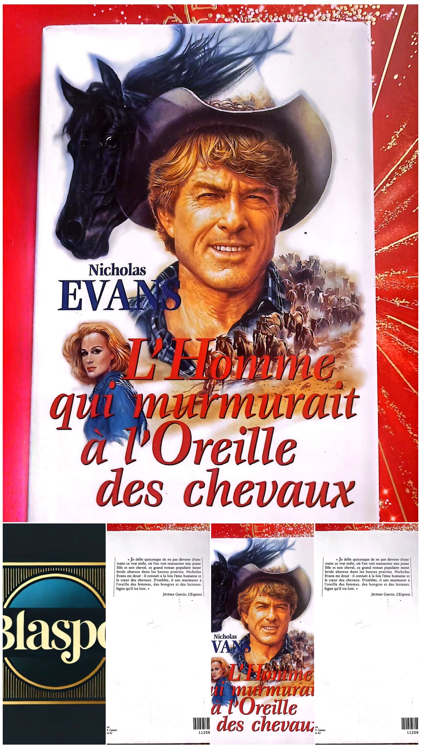L’Homme qui murmurait à l’oreille des chevaux – Nicholas Evans – Roman – Livre Broché