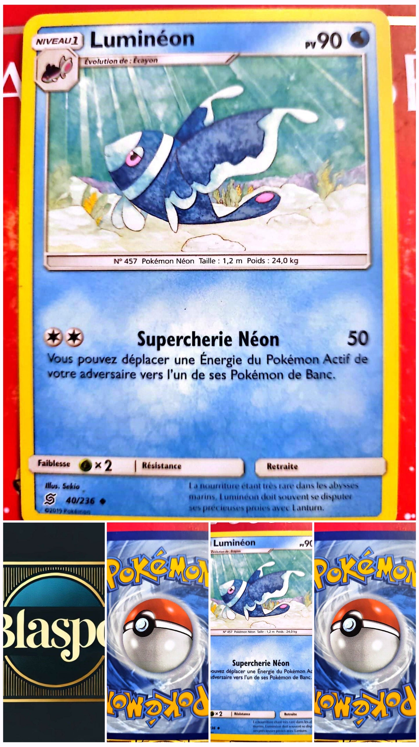 Carte Pokémon Luminéon 40/236 – Version française – Carte à l’unité